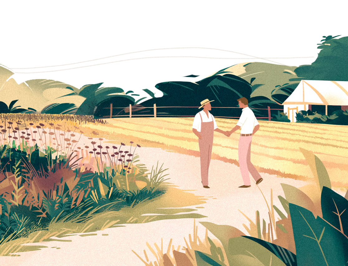 Regenerative Insights